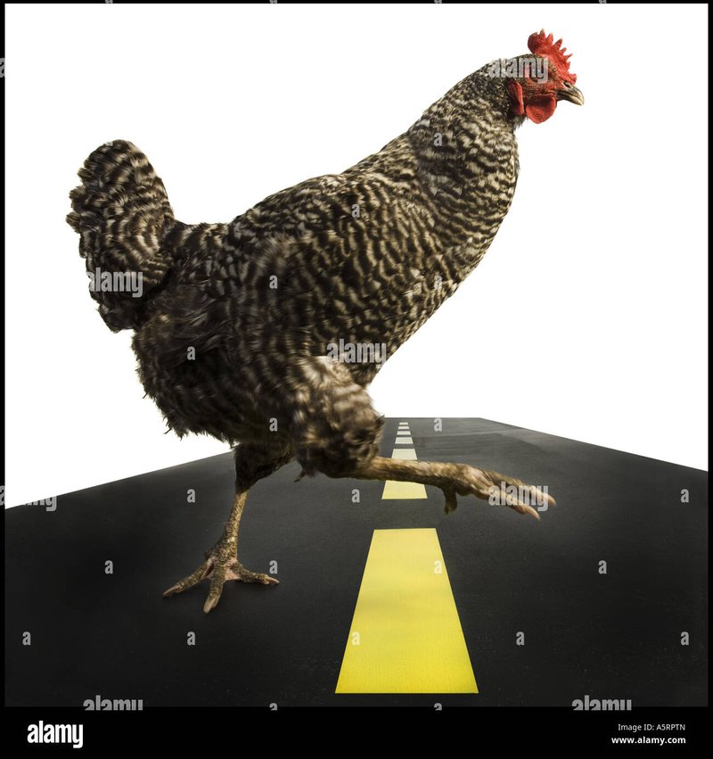 Chicken road online - Conoce las Reglas Oficiales del Juego de Azar Chicken Road en España